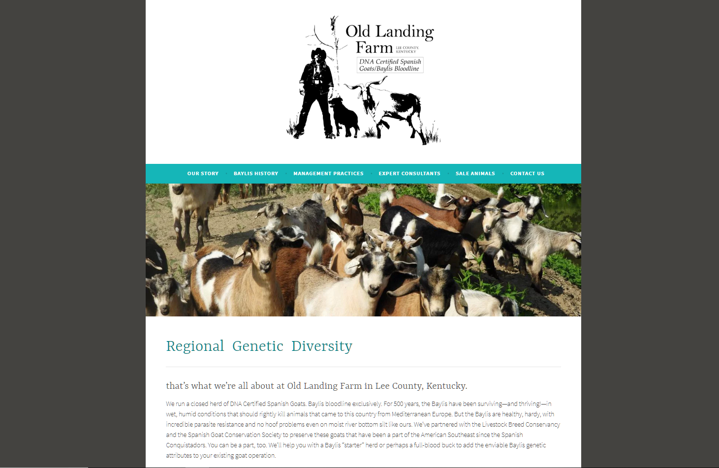 Old Landing Farm website tile